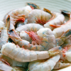 shrimps