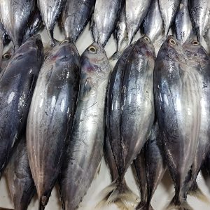 Wholesale fish in norway